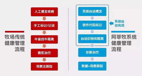 奶牛淘汰由被动变主动的秘密