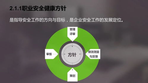 职业安全健康管理体系 ppt