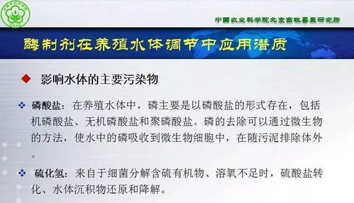 动保大会ppt⑥ 张铁鹰 酶制剂在水产动物营养与保健方面的潜质